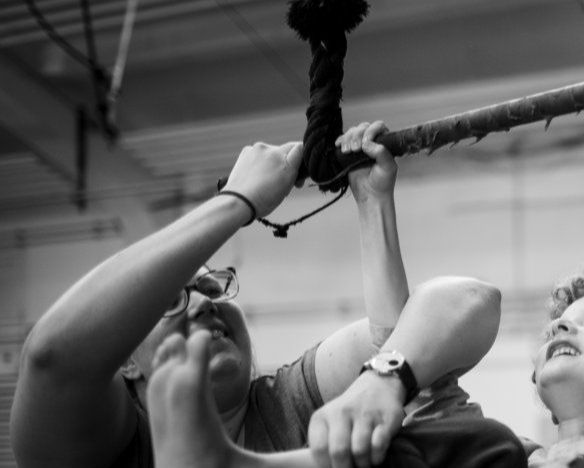 © L'Élastique citrique | Photographe : Eric Bakker